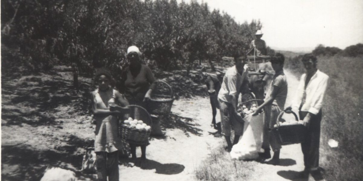 Associação Comercial sedia 1º Seminário Nacional do Pêssego