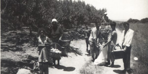 Associação Comercial sedia 1º Seminário Nacional do Pêssego