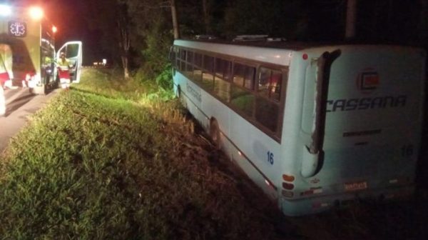 Ônibus sem passageiros sai da pista e bate em árvore na BR-392