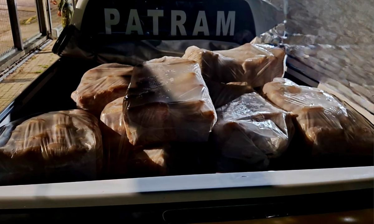 Homem é preso por transporte irregular de pescado em Pelotas