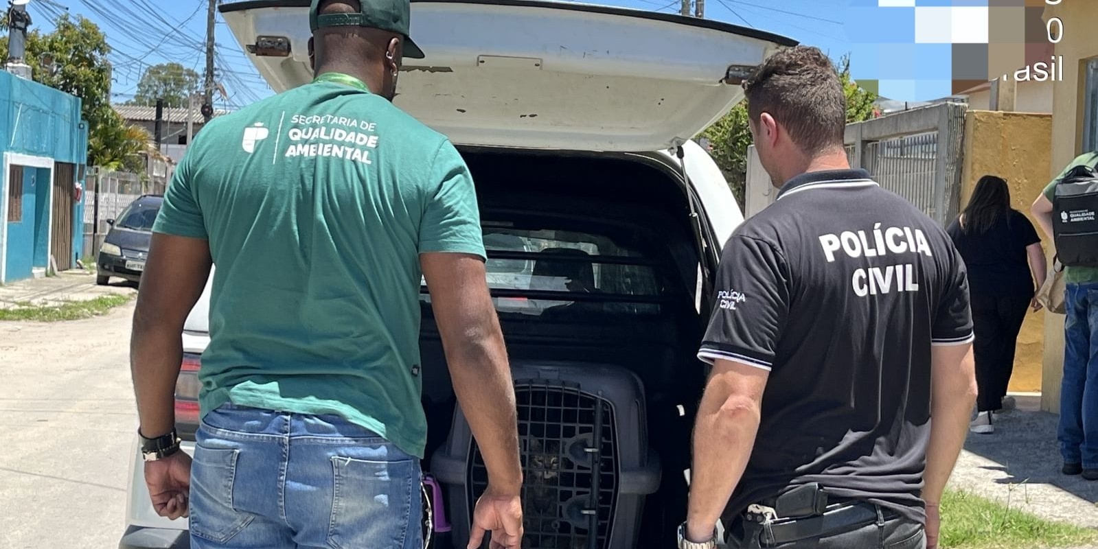 Mulher é presa por maus-tratos a animais em Pelotas