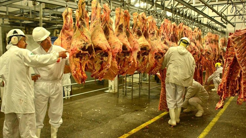 Carnes e grãos podem ser os produtos mais beneficiados com acordo entre Mercosul e UE