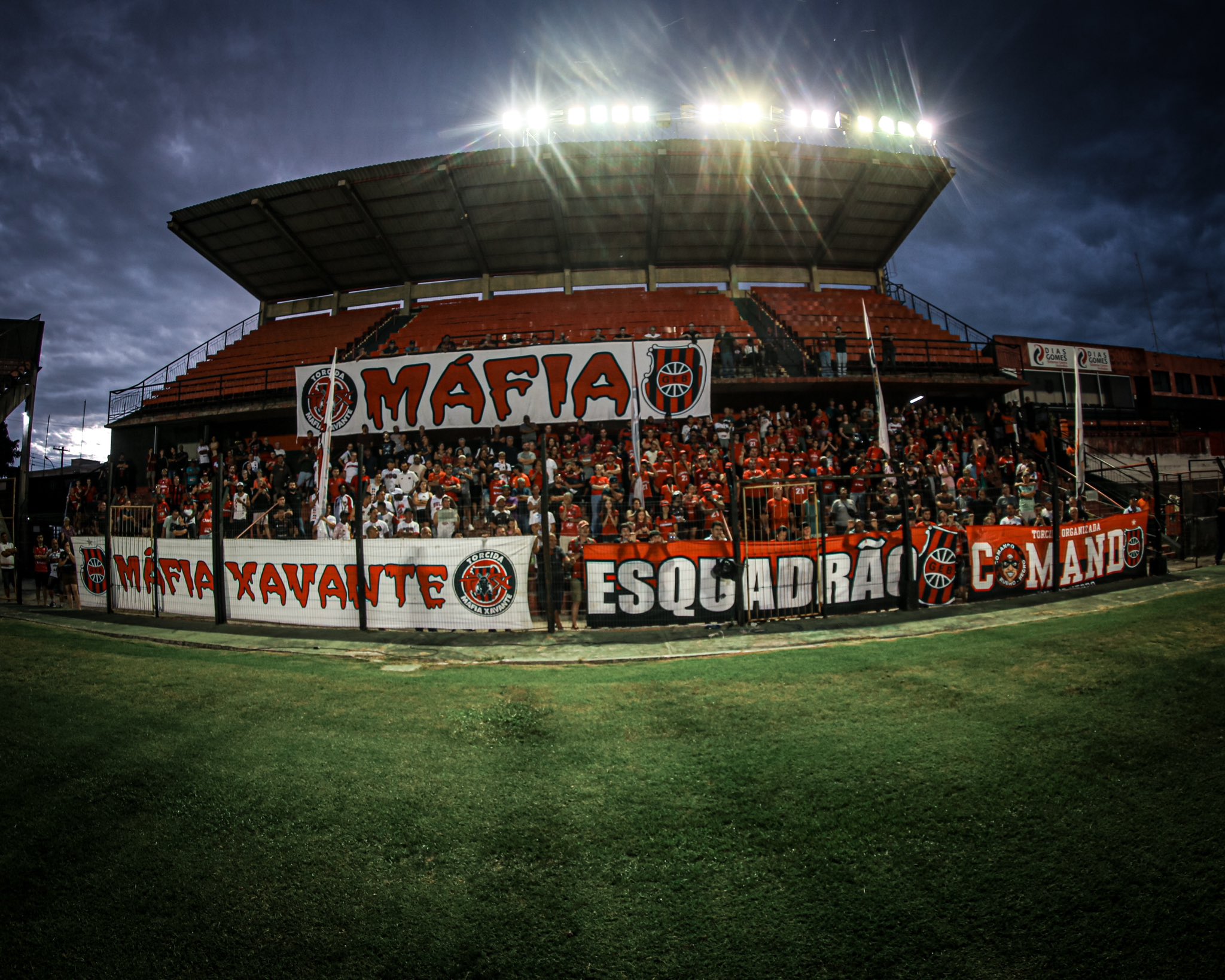 Representantes da SAF miram campanha para Brasil atingir dez mil sócios