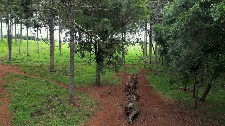 Episódio inédito da série Olhar Brasil tem produção da TV UFPel