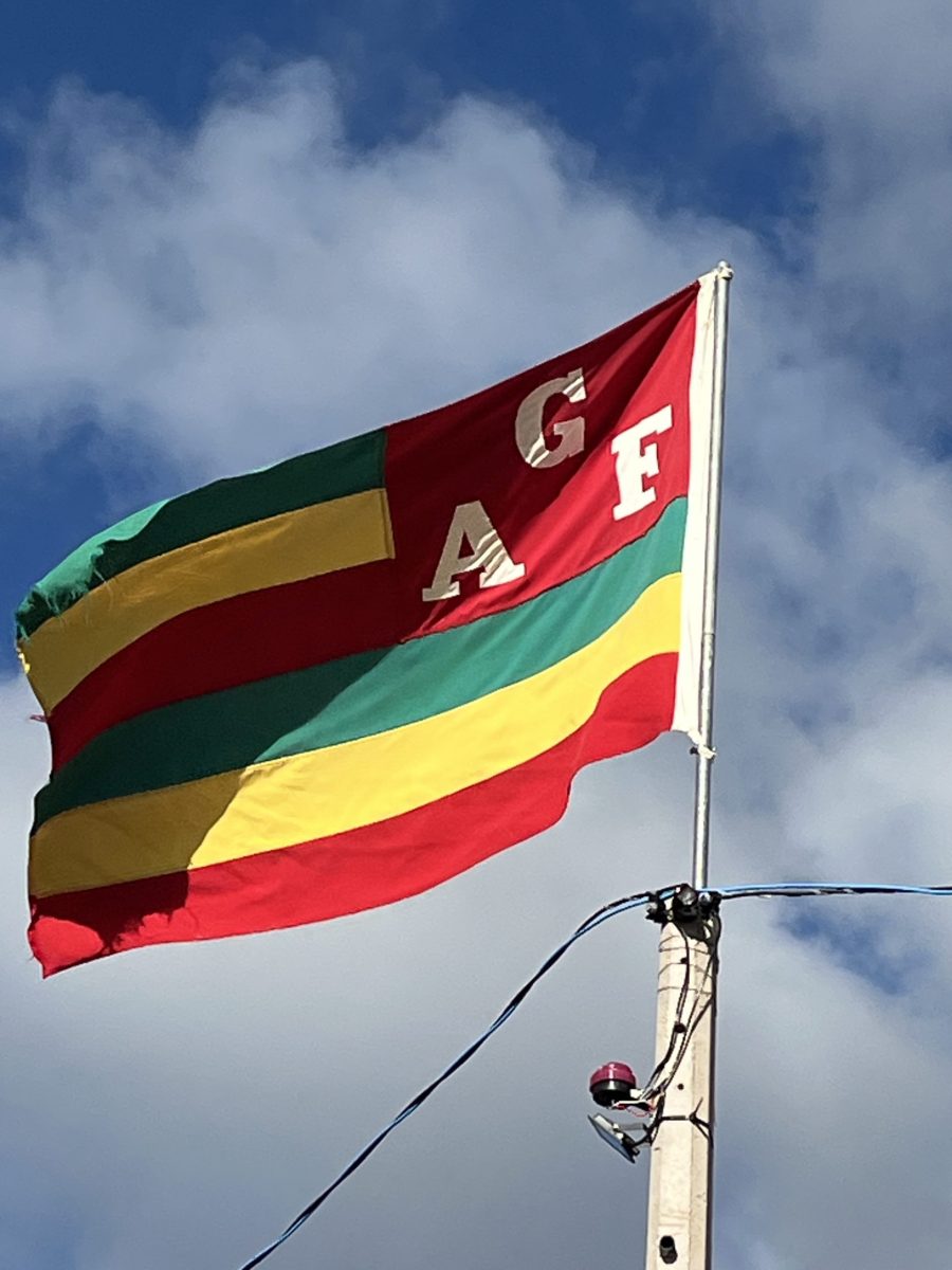 Farroupilha pretende jogar Copa FGF em 2026