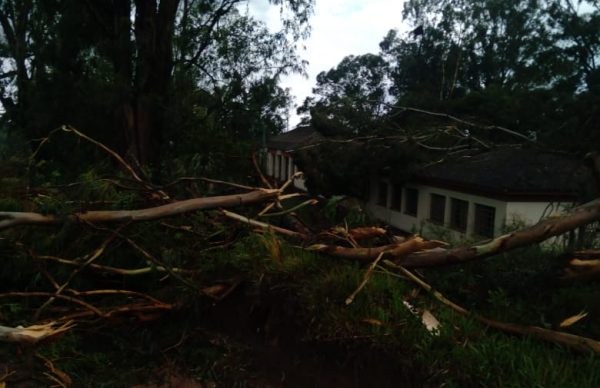 Defesa Civil investiga possível tornado em Pinheiro Machado