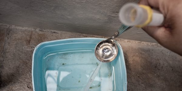 Rio Grande fecha 2025 com 465 focos de dengue