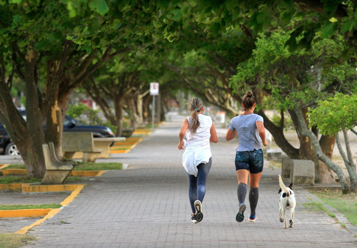 Novo ano, metas simples