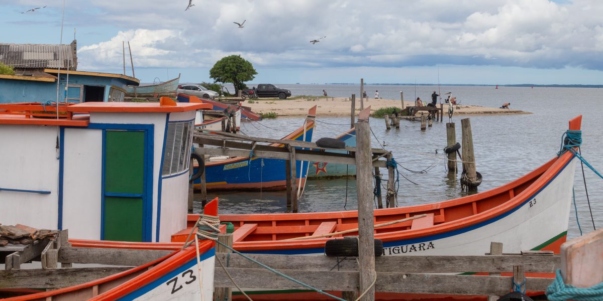 Safra do camarão deve ter cenário mais favorável no litoral sul