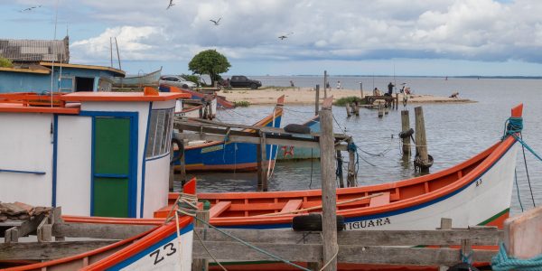 Safra do camarão deve ter cenário mais favorável no litoral sul