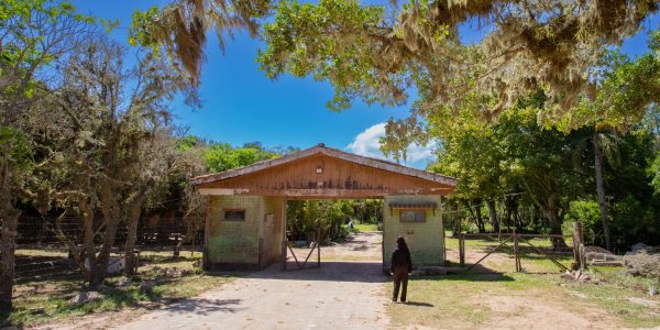 Ecocamping Municipal de Pelotas deve ser reinaugurado em fevereiro