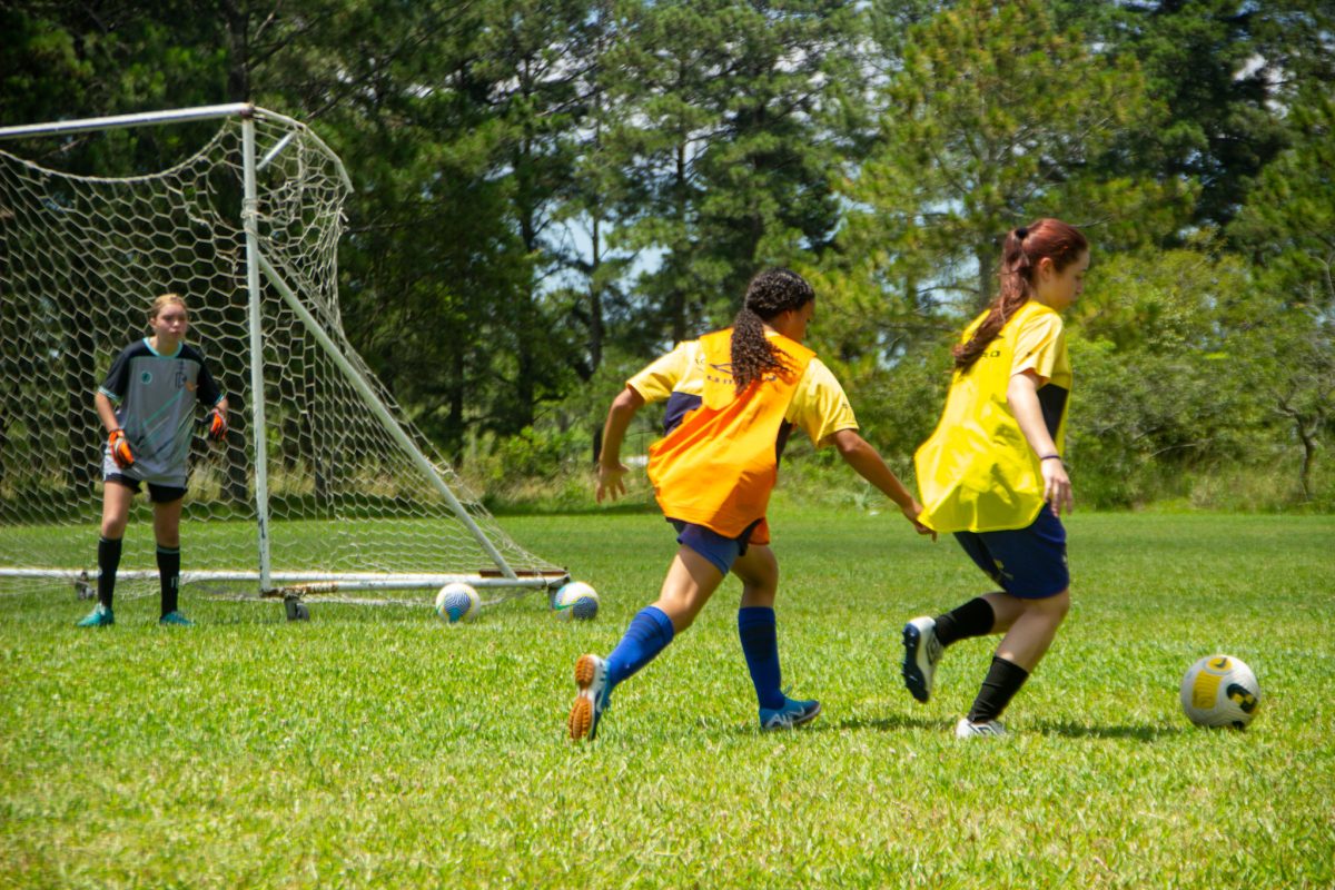 Lobas promovem seleção de atletas no domingo