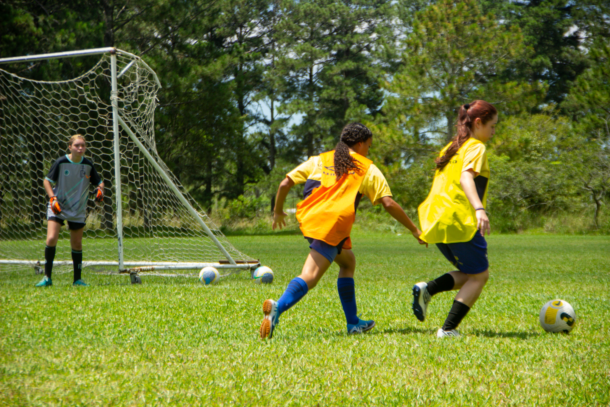 Lobas promovem seleção de atletas no domingo