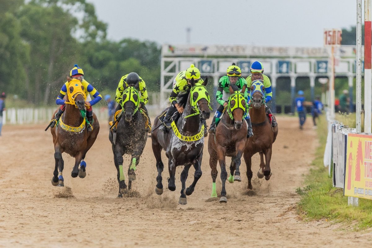 Temporada do turfe reabre com briga na Estatística de jóqueis