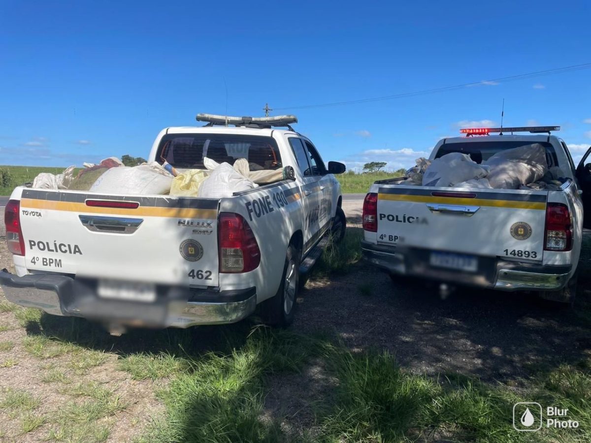 Homem é preso por furto de carga após tombamento de carreta na BR-392 em Canguçu