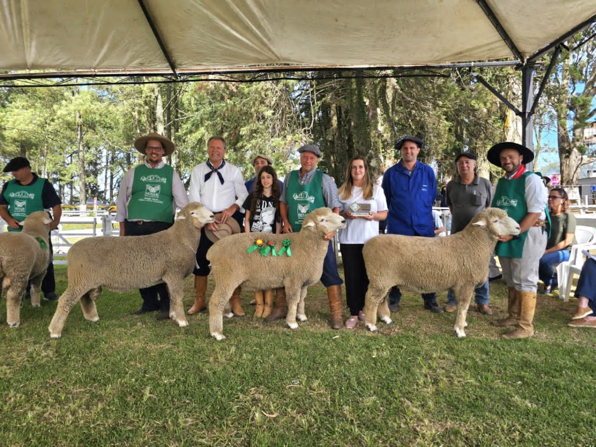 42ª Feovelha projeta movimentar o agronegócio e o entretenimento com o “Feovelha Show”