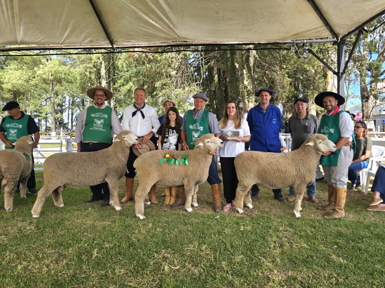 42ª Feovelha projeta movimentar o agronegócio e o entretenimento com o “Feovelha Show”