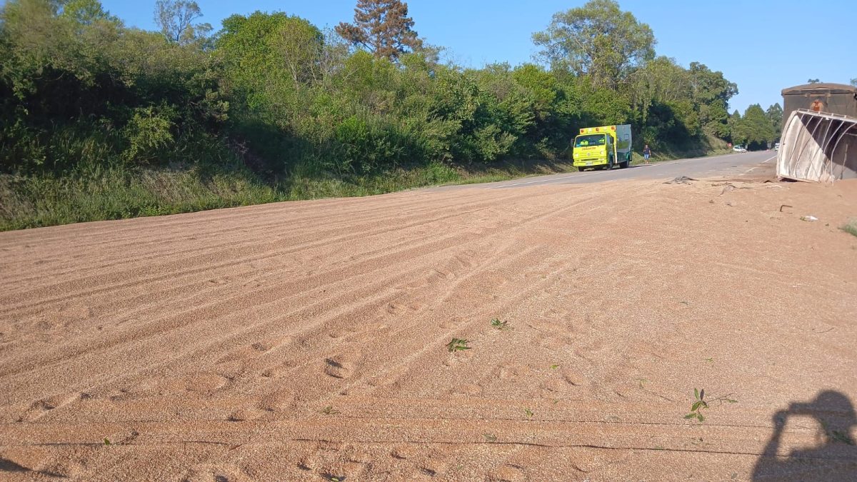 Carreta tomba e espalha carga de trigo na pista na BR-392