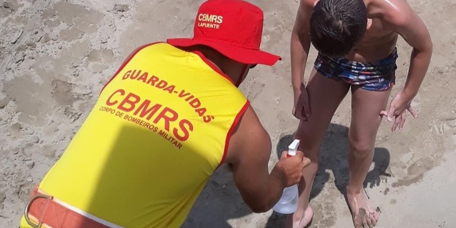 Praias da região já tem quase seis mil registros de queimadura por água-viva