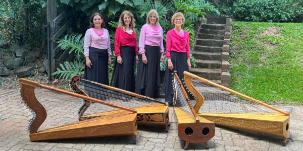 Concerto joga luzes em pesquisa sobre a harpa guarani