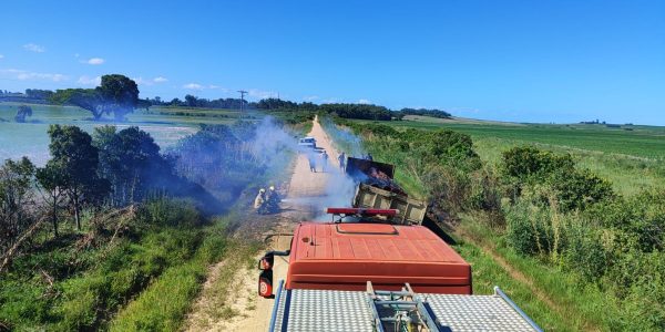 Caminhão carregado com toras de madeira pega fogo em Pelotas