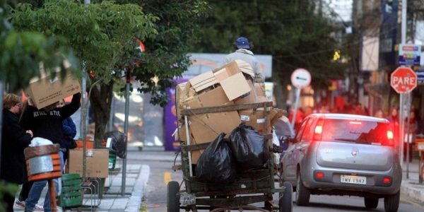 Pelotas regulamenta lei e endurece regras contra maus-tratos a animais