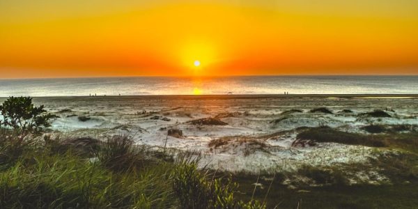 Trilhas promovem imersão em ecossistema do Extremo Sul gaúcho