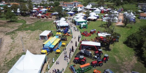 Começa nesta terça a programação da 36ª Abertura da Colheita do Arroz