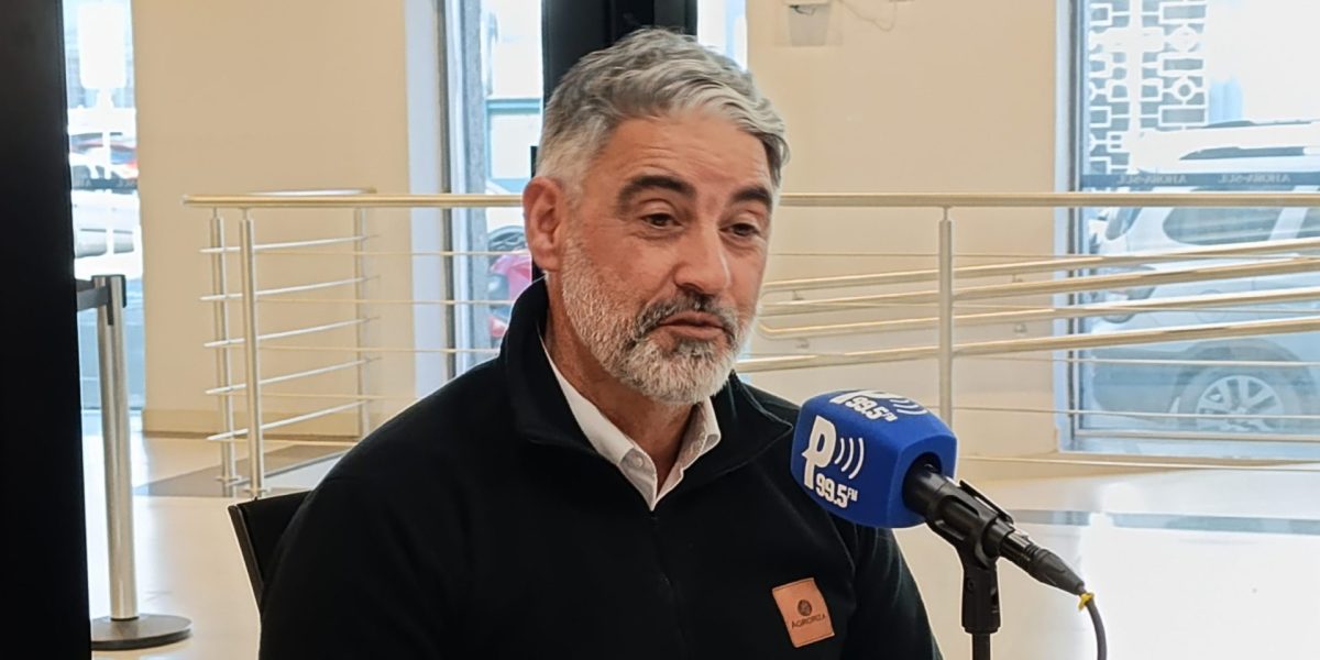 Presidente da Federarroz detalha ações do setor diante de cenário adverso