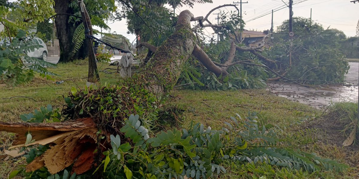 Temporal atinge a Zona Sul do Estado