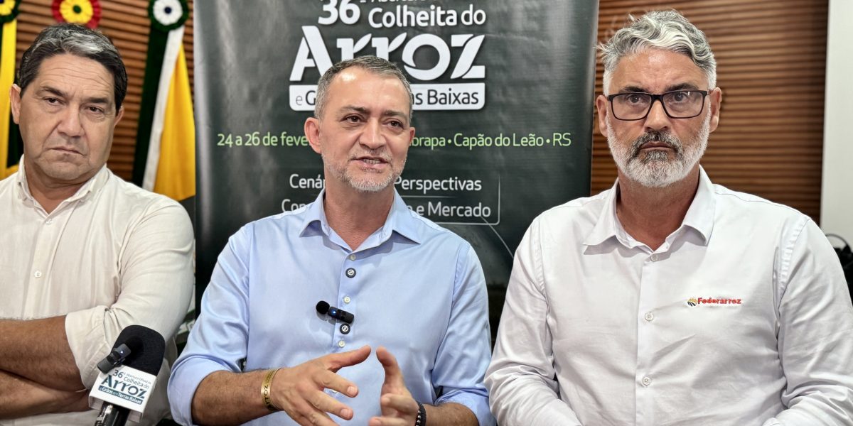 Conab anuncia R$ 73,6 milhões para o escoamento da produção de arroz