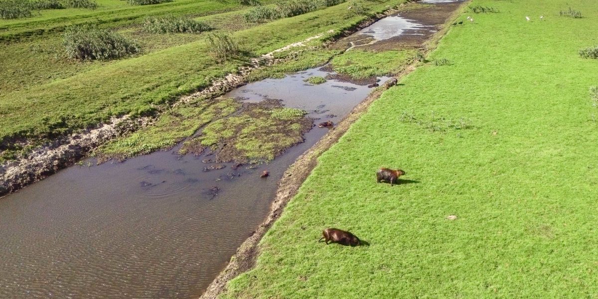 Caminhos para contemplar a riqueza em biodiversidade da nossa região