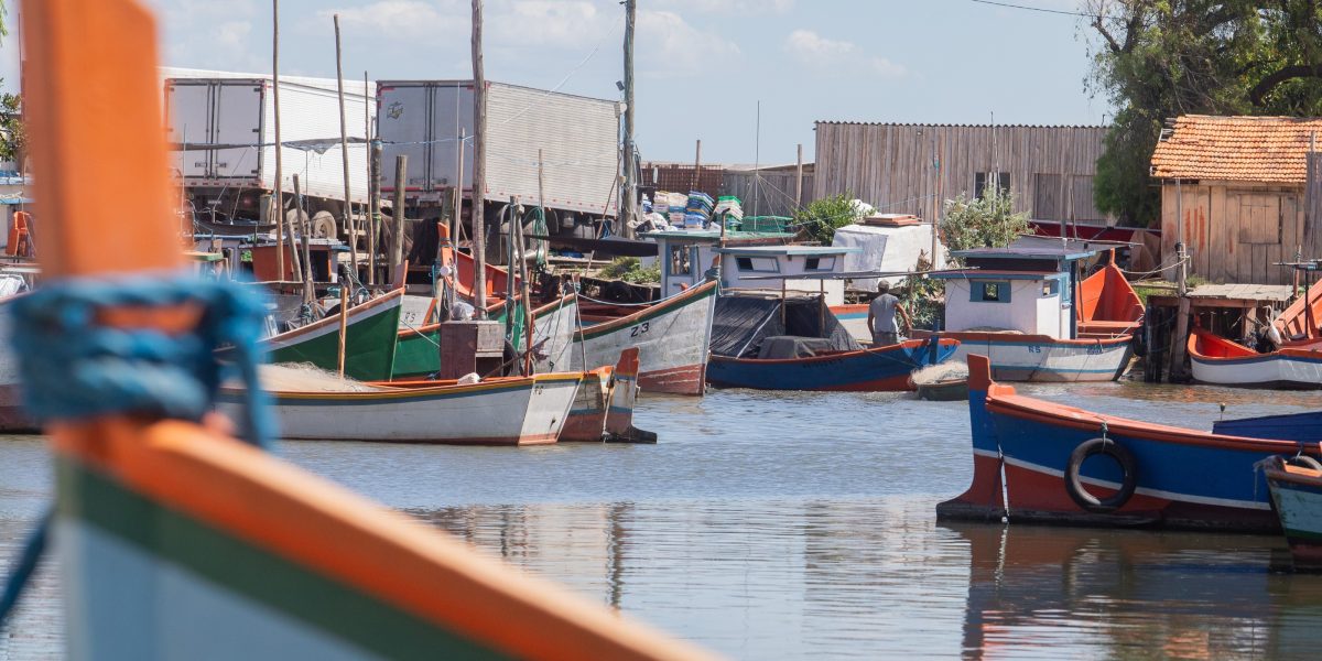 Pescadores têm novo prazo para regularizar cadastro e evitar suspensão de licença