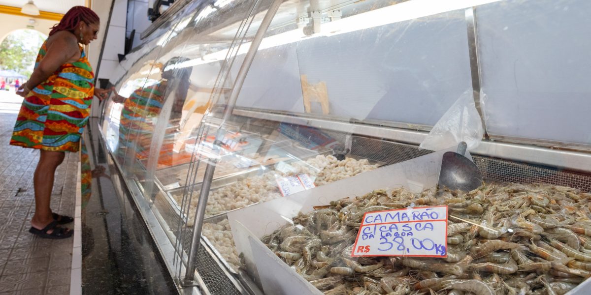 Safra do camarão inicia na Lagoa dos Patos com baixa disponibilidade