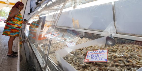 Safra do camarão inicia na Lagoa dos Patos com baixa disponibilidade