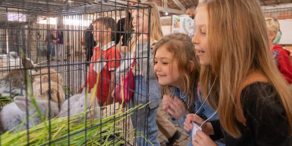 Associação Rural lança campanha de memórias para 100 anos da Expofeira
