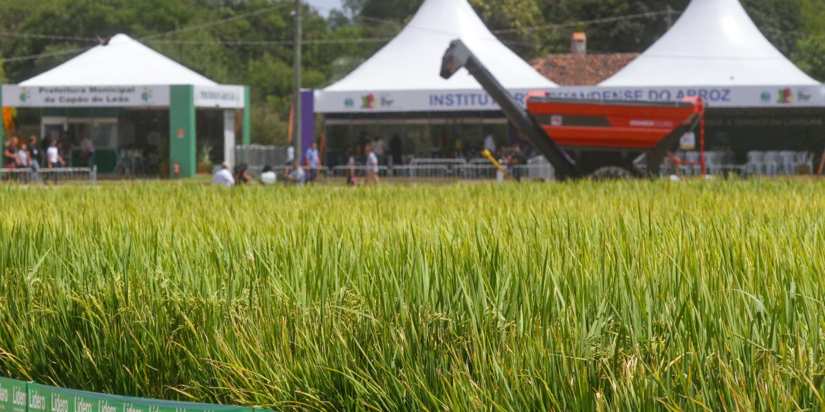 O agro como motor de uma região