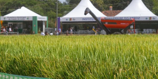 O agro como motor de uma região