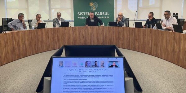 Setor arrozeiro define ações para enfrentar crise de mercado