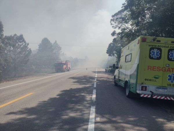 Incêndio em vegetação provoca fumaça intensa na BR-116 em Capão do Leão