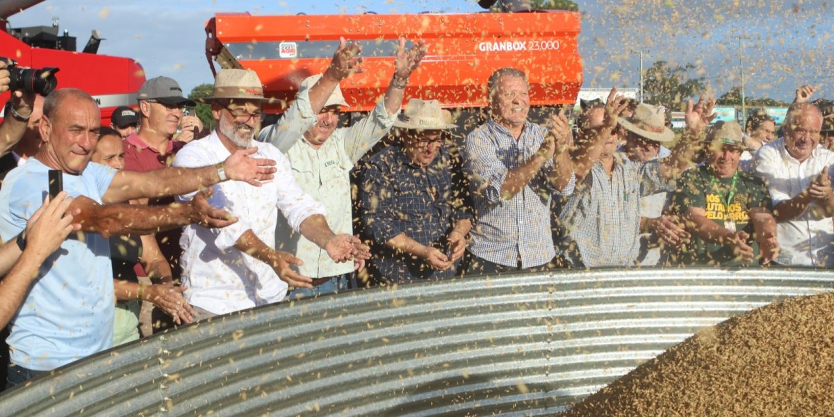 Colheita do arroz tem início oficial e evento será realizado em Capão do Leão por mais 10 anos