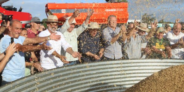 Colheita do arroz tem início oficial e evento será realizado em Capão do Leão por mais 10 anos