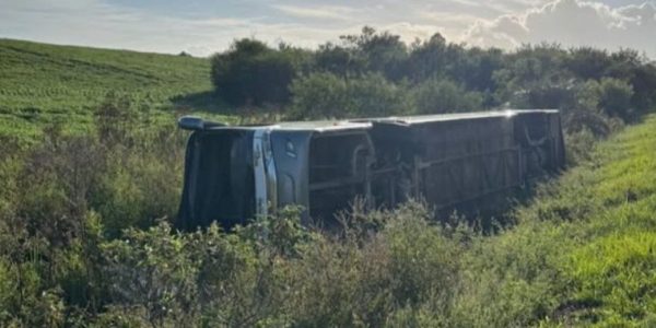 Ônibus tomba na BR-293 e deixa um ferido
