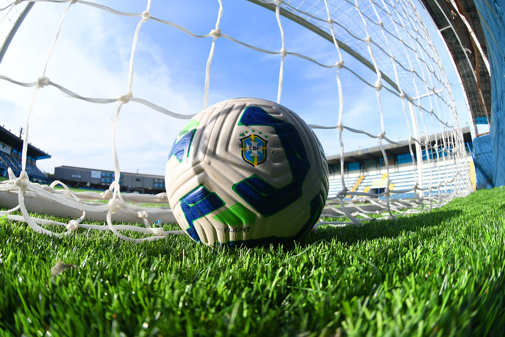 Plataforma idealizada por conselheiros do Brasil traz raio-x das SAFs no país