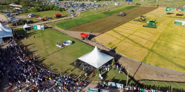 Após início oficial da colheita, Farsul analisa cenário desafiador do arroz