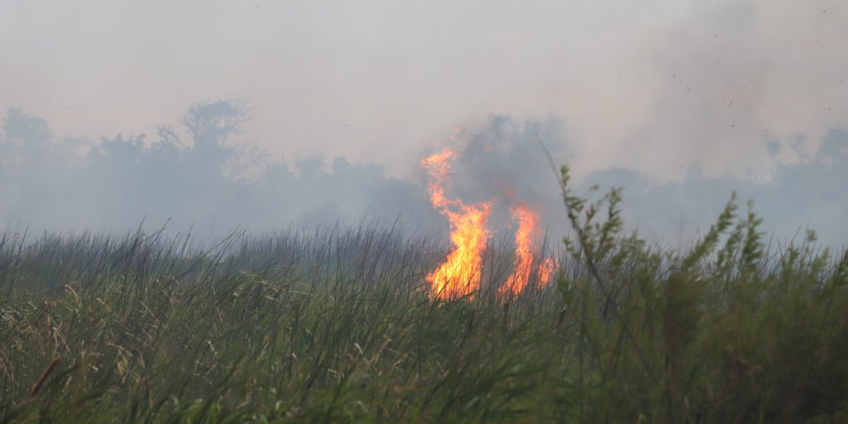 Incêndio em vegetação assusta moradores do Laranjal