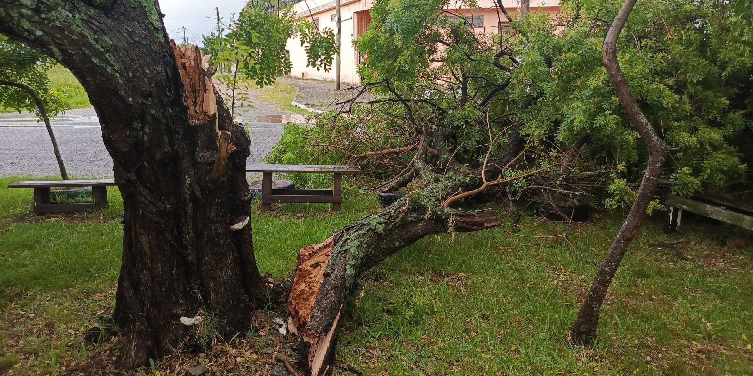 Temporal com tornado leva Pelotas a decretar situação de emergência