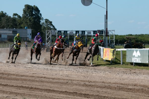 GP Cidade do Rio Grande será disputado neste domingo no Jockey Club de Pelotas