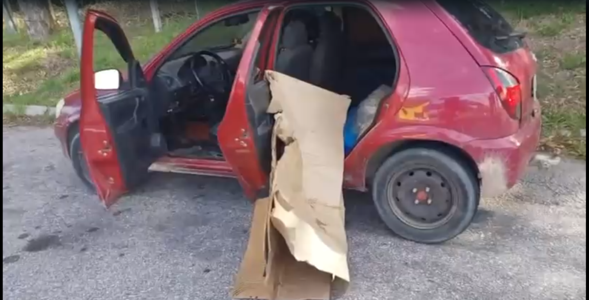 Dois homens são presos por crime ambiental