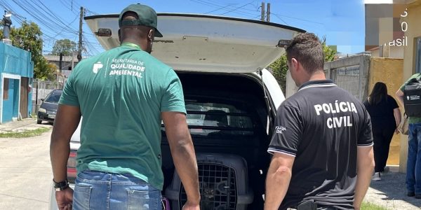 Cartório de Maus-Tratos a Animais completa cinco anos em Pelotas